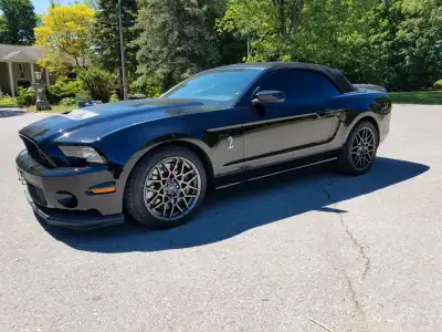 A modern take on a classic design, the 2014 Ford Mustang lives up to its storied name. This 2014 She...