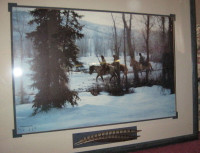 Collectible Framed Glass Picture