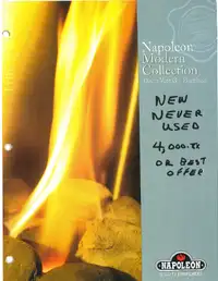 Napoleon Fire place