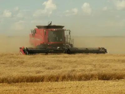 MacDon/Case IH Flex Headers, View more