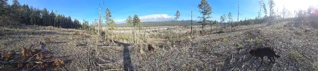 281-Acre Riverfront Property | Mountain Views | Kootenay in Land for Sale in Cranbrook - Image 4