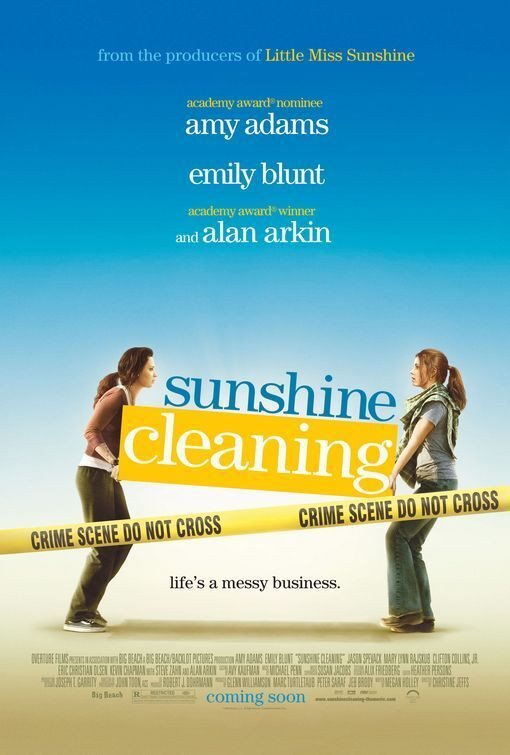 Sunshine Cleaning dvd in CDs, DVDs & Blu-ray in City of Halifax