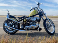 97 Harley Sportster 883 Hardtail