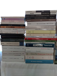 Beaucoup de livres en français (3 photos)