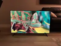 2022 Smart TV 50” 4K