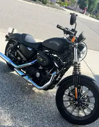 2014 Harley Davidson Iron