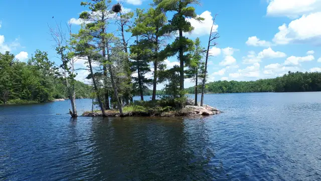Private Cottage on beautfull Bobs Lake in Ontario in Canada - Image 6