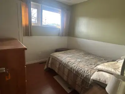 3 bedrooms house to share, fully furnished, utilities are included $650 per month Female only