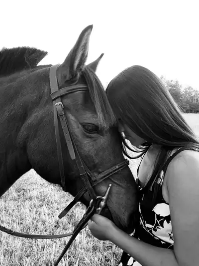 Hi, I’m looking to possibly offer English riding lessons for beginners/ intermediate level riders. h...
