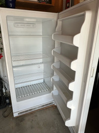 Upright Freezer White