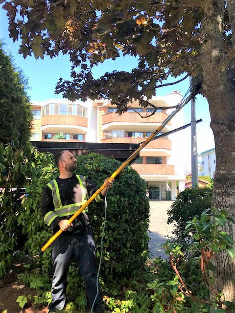 All-electric commercial, industrial and residential landscaping in Lawn, Tree Maintenance & Eavestrough in Victoria