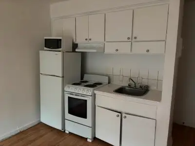 Grand 2 1/2 situé à Hochelaga-Maisonneuve disponible en juillet ou après dans l’est de Montréal au 2...