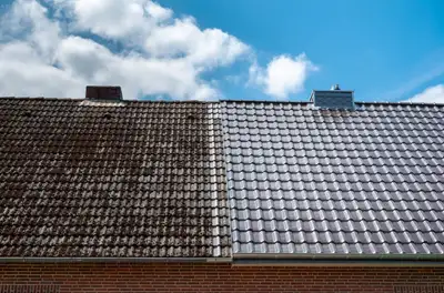 Roof cleaning,Window Cleaning , Gutter guard installation  ,Pres, View more