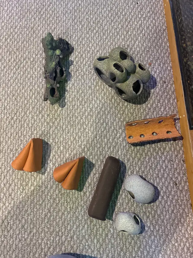 fish cave lot in Fish for Rehoming in Calgary - Image 2