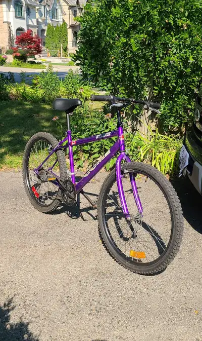 Mountain Bike - CCM Blitz Oversize Frame, 21 Speed, View more