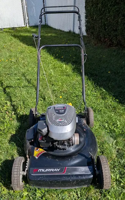Tondeuse 22 pouces Murray 160cc, View more