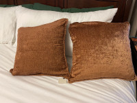2 Throw Pillows (copper, brand new never used))