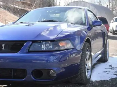Looking for a 03/04 SVT Cobra 902 317 5201