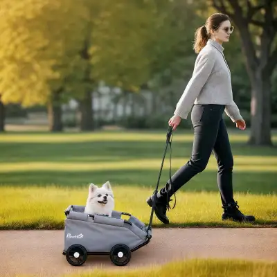 4 Wheels Folding Lightweight Pet Stroller, Grey , View more