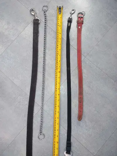 laisse et collier chien, View more