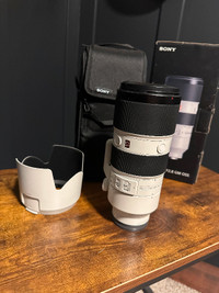 Sony SEL FE 70-200mm f/2.8 GM OSS E-Mount Lens