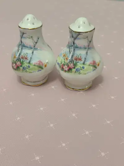 Vintage discontinued England Bone China Royal Albert Silver Birch- Excellent condition Asking price:...
