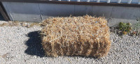 Small square straw bales 