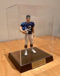 CFL Figures with Display Cover