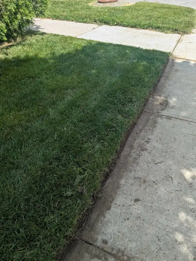 Lawn care and landscaping63013091111427122