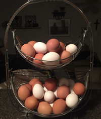 Fresh farm eggs