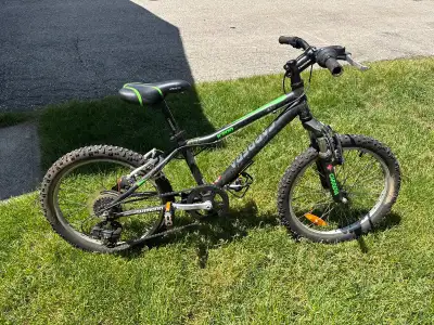 Carrera K200 Mountain Bike, View more