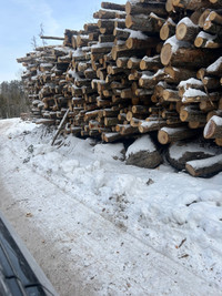 BLOW OUT SALE on hardwood firewood logs 