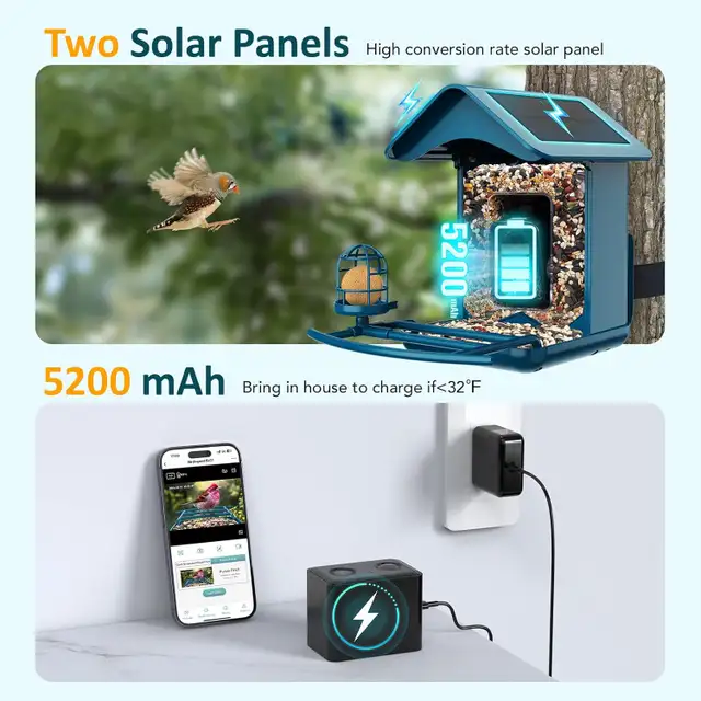 Mangeoire Intelligente Pour Oiseaux Avec Caméra à énergie Solaire