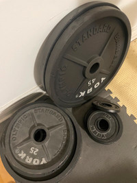 300lbs York weight plates (York barbell & bench also avaliable)