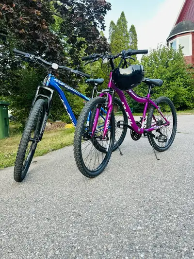 Both cycles are new only used 1 month Blue cycle is for 350 Pink cycle is 300 Cycles are with lights...