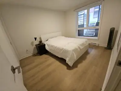 3 1/2 disponible / 1 bedroom apartment available