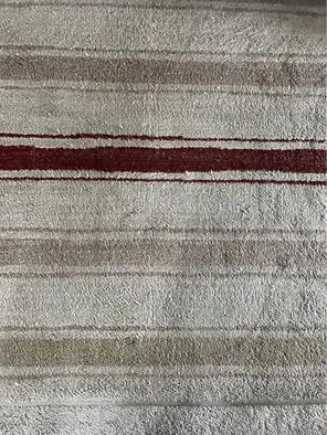 Area Rug in Excellent Shape, View more