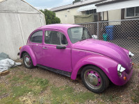 1974 Volkswagen Beetle 