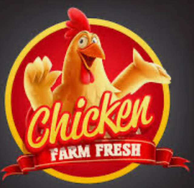 CHICKENS & MORE FOR SALE in Equestrian & Livestock Accessories in Kawartha Lakes
