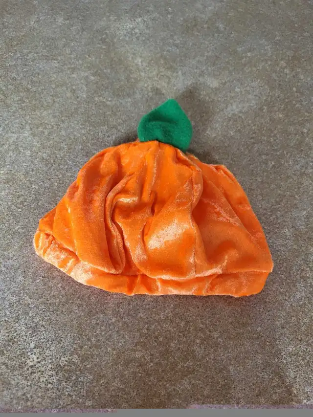 Pumpkin  costume in Costumes in Lethbridge - Image 3