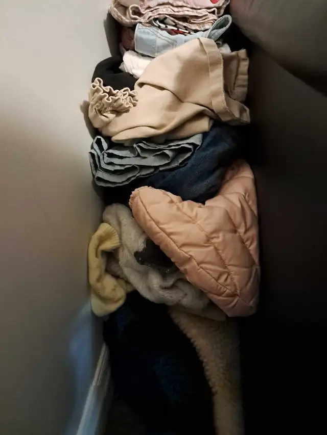 toddler 2-3yrs old girl's clothes 62863738440961121