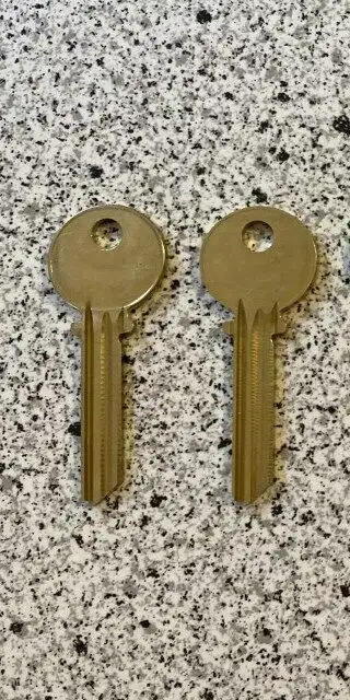 Blank keys for high-security Medeco locks, not available at hardware stores. Regular retail $20 each...