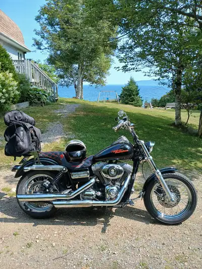 2007 Harley Davidson street bob. 96 ci (1584) motor/six speed trans. 152,000kms. All fluids changed...