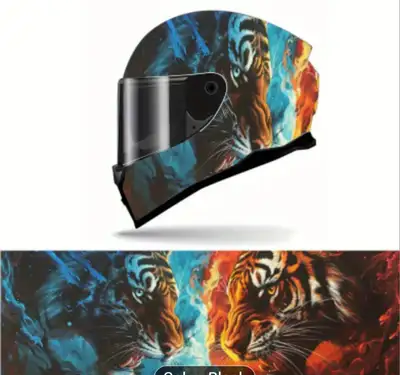 Motorcycle helmet decal, View more
