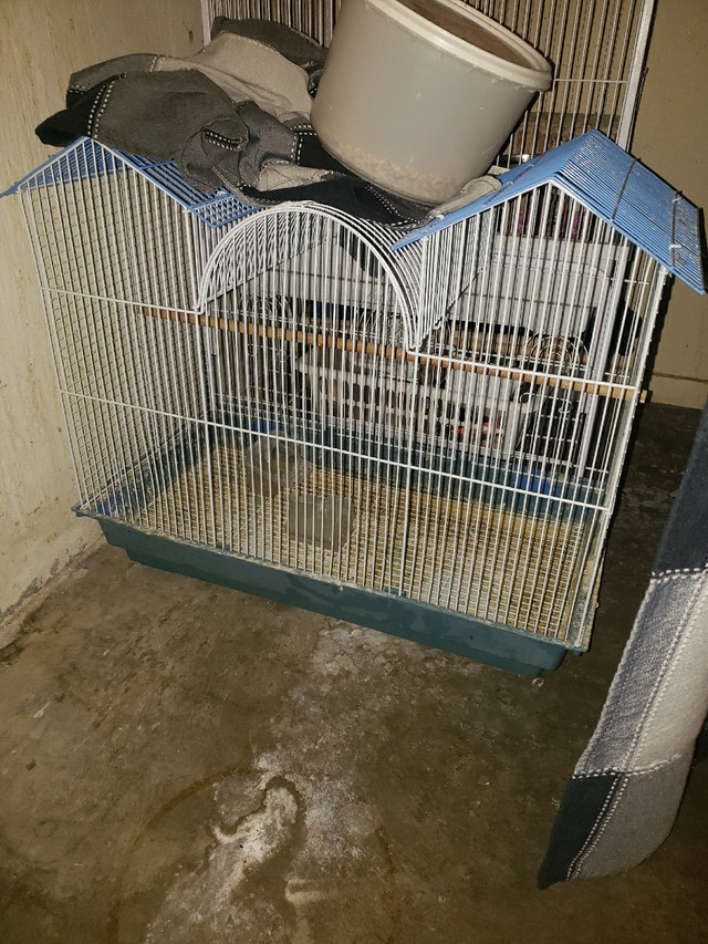 Bird cage  in Birds for Rehoming in Vancouver