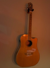 125th anniversary Washburn guitar 