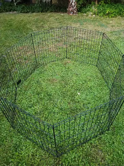 Dog Playpen $65, View more