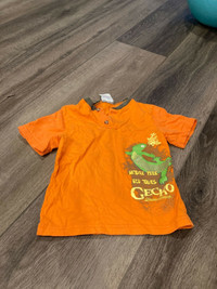 Boys gecko t-shirt (4T)