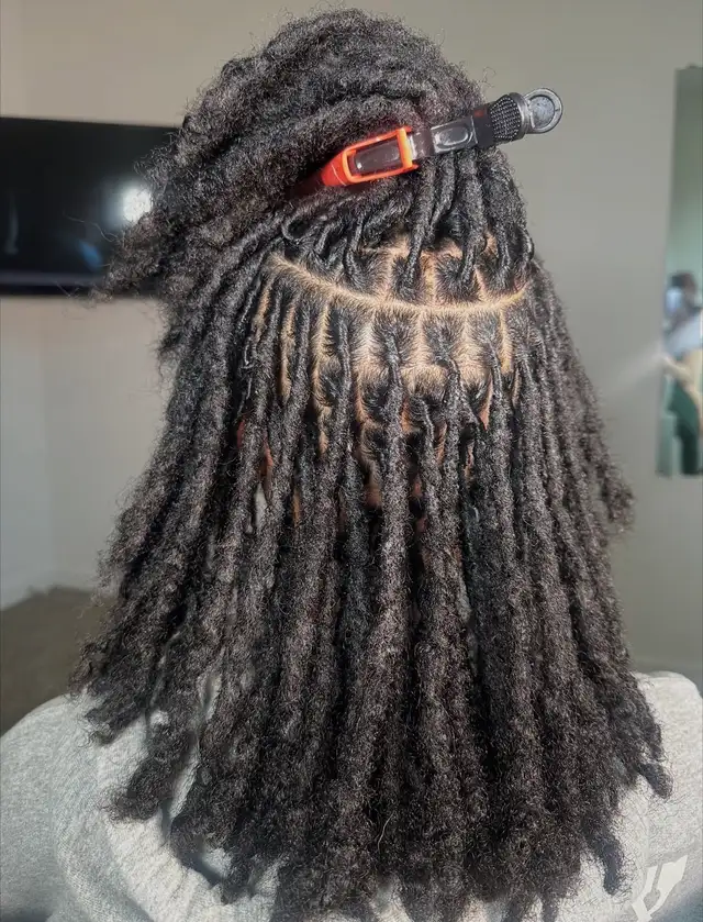 Braids and Locs602765533412730886