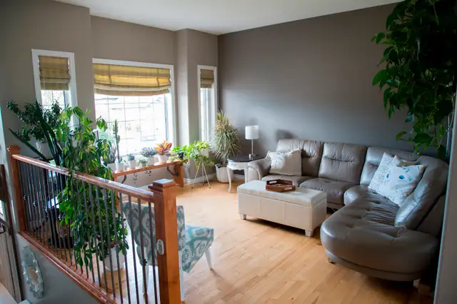 Warman House FOR SALE: OPEN HOUSE Sat 19 & Sun 20 11am-4pm63235094160003122